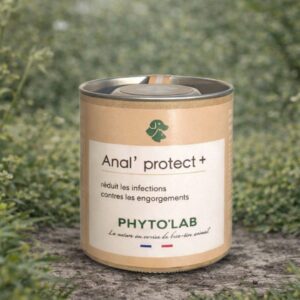 PHYTOLAB Anal protect + gélules naturelles infections engorgements plantes