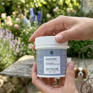 PHYTOLAB Baume inflamatoire 80g naturel articulation muscles douleur